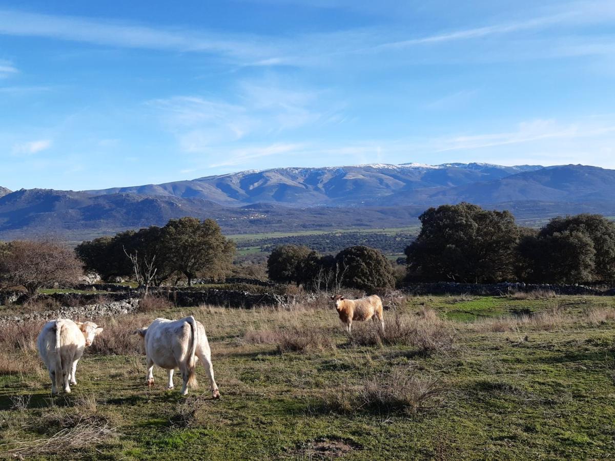 Casa Rural Mi Descanso Valdefuentes de Sangusín Buitenkant foto